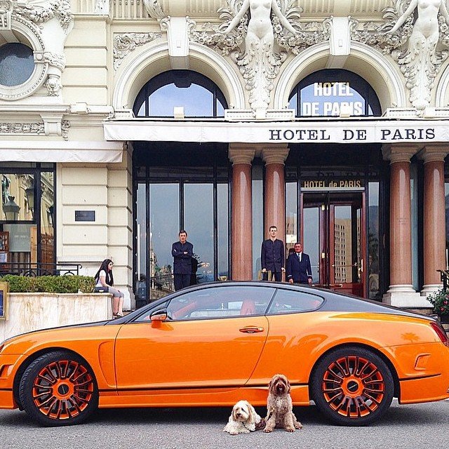 These rich dogs of instagram lead far better lives than us & we can’t help but be jealous